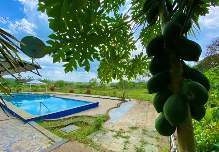 The pool